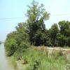 A Canal on the Way, Garh Mukteswar